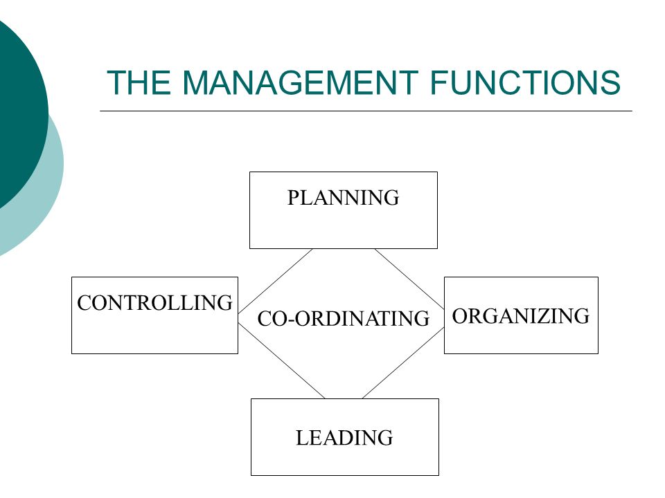 Thesis: Planning, organizing, controlling, and leading